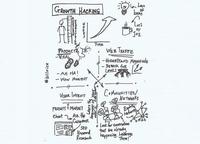 Si tienes una tienda online te interesa el "growth hacking"