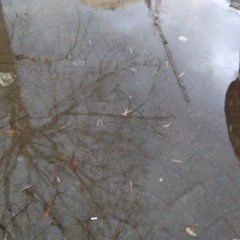 Foto 6 de 19 de la galería wiko-ridge-4g-camara en Xataka Android