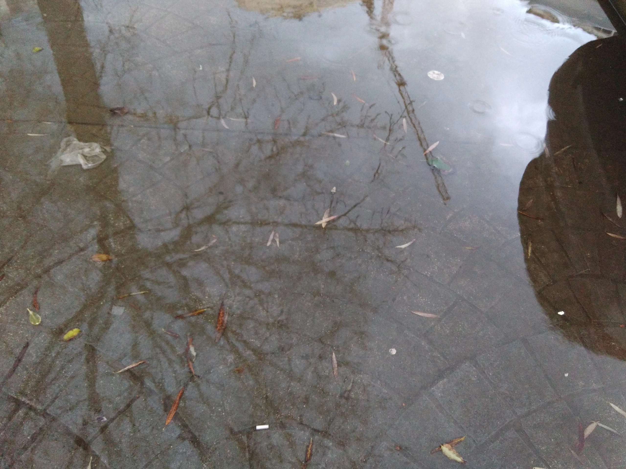 Foto de Wiko Ridge 4G, cámara (6/19)