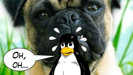 ¿El sistema operativo más inseguro del mundo? Damn Vulnerable Linux