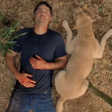 El final de esta serie fue frustrante para muchos, pero resulta que ver 'Perdidos' en orden cronológico cambia por completo el significado de la serie