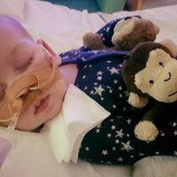 El momento de tirar la toalla: crónica de la vida y la previsible muerte de Charlie Gard 