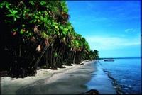 El Pacífico en Guatemala, paraíso natural