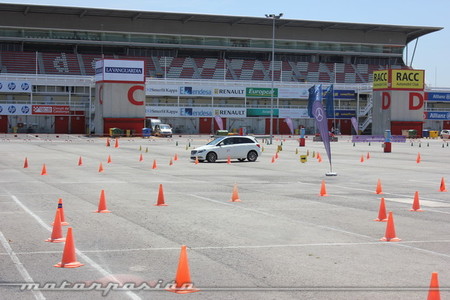 Perdido entre los conos