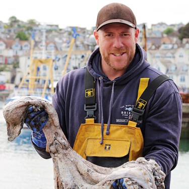 Los pescadores ingleses se forraron en verano con una invasión de pulpos. Ahora el cefalópodo está arrasando su marisco