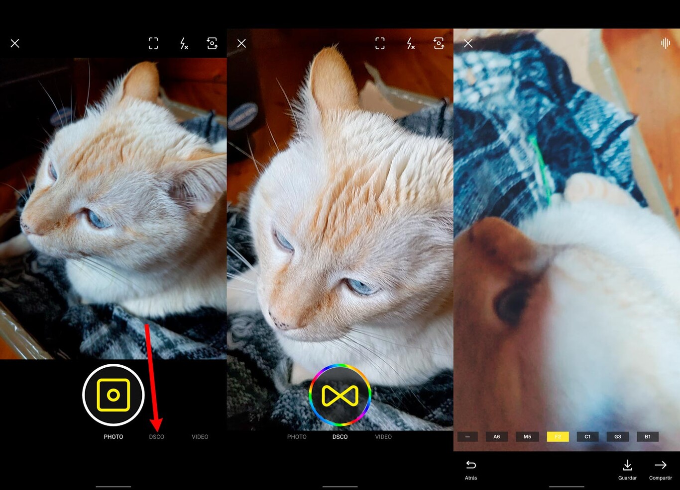 DSCO, el vídeo en bucle de VSCO, ya está disponible en Android