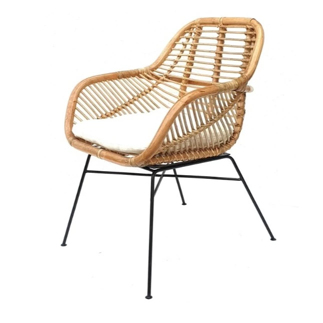 Sillón de Jardín, Lativia