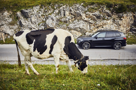 BMW X5 xDrive45e híbrido enchufable