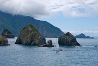 Nueva Zelanda: cruzar el Estrecho de Cook en ferry