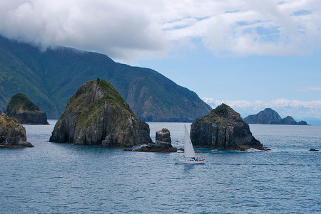 Nueva Zelanda: cruzar el Estrecho de Cook en ferry