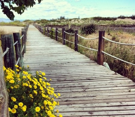 delta del ebro