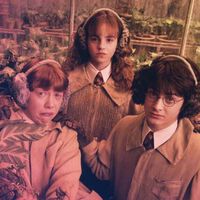 "Otra vez brujas no". La profesora Sprout de Harry Potter dijo 'no' a salir en una serie de Marvel Studios para Disney+