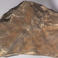 En 2025 la roca marciana más grande encontrada en la Tierra se vendió por 5.3 millones de dólares. Nigeria no estuvo nada contenta 
