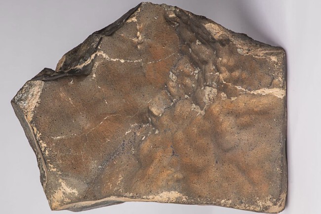 Meteorito Marciano