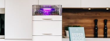 Este dispositivo conectado e inteligente quiere posibilitar que todos podamos contar en casa con un huerto urbano