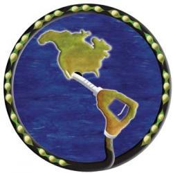 ¿Ahora dicen "no" a los agrocombustibles?