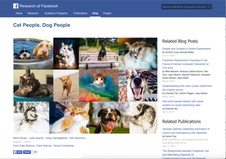¿Eres más de perros o de gatos? Un estudio de Facebook revela algunos rasgos de ambos dueños