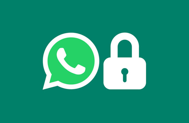 Whatsapp Privacidad