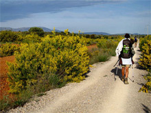 Preparación física para el Camino de Santiago