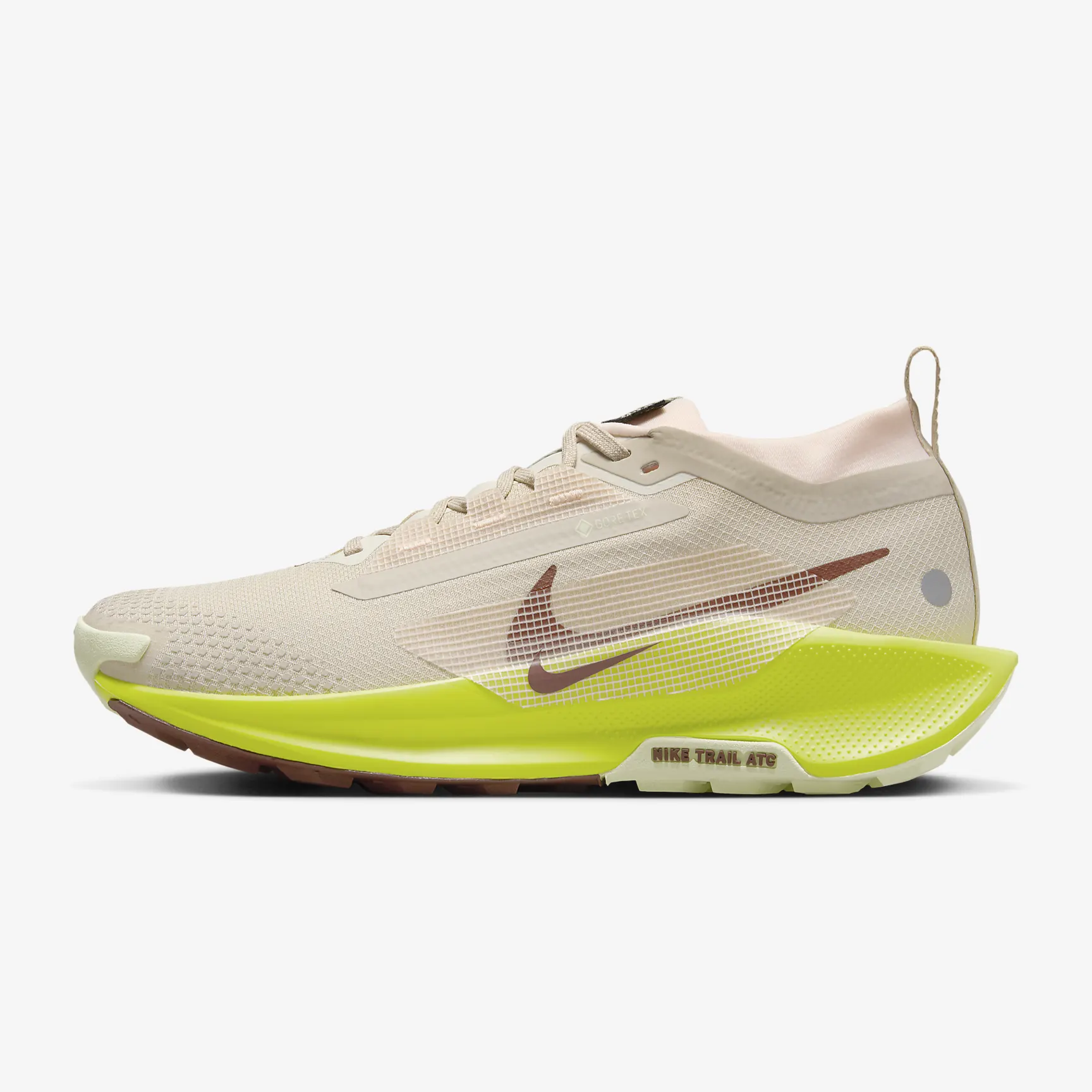 Nike Pegasus Trail 5 GORE-TEX
