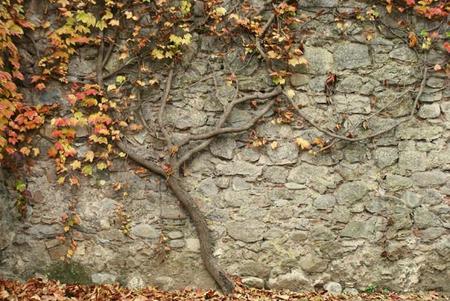 ¿Nos enseñas tus fotografías de este otoño?: La pregunta de la semana