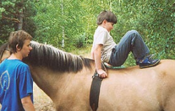 Hipoterapia, terapia con caballos