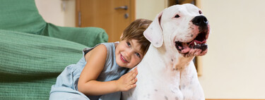 Abrazos entre perros y niños: lo que una educadora canina recomienda