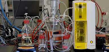 Bacterias que fabrican petroleo (Times Online)