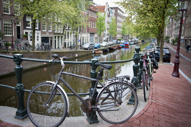 Bicis