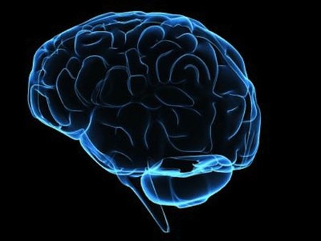 Los 4 procesos cerebrales que determinan nuestra moral