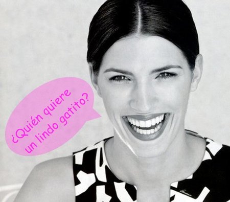 Laura Sánchez te regala un gatito