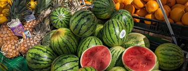 Serrano cultiva sandías en Tomelloso: "A un productor le cuesta 30 céntimos criarlos y 30 al comercial". El problema es que no les queda nada 