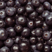 Pelo bem da sua família, mude a dieta hoje mesmo: especialistas descobriram que o açaí é um tesouro para salvar o cérebro dos jovens e reduzir ansiedade e depressão 