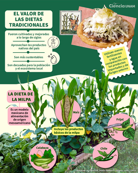 Si vas a comer en la calle, estos son los alimentos que la UNAM recomienda por saludables