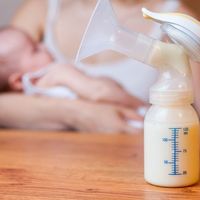 Una madre fue increpada al viajar en avión con un sacaleches: lo que debes saber si eres madre lactante y viajas