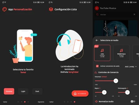 Songtube の代替 YouTube