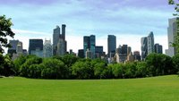 Nueva York: prohibirían fumar en sus espacios públicos