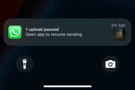 画像やビデオの送信が失敗した場合の WhatsApp の通知は次のようになります (画像: WABetaInfo)