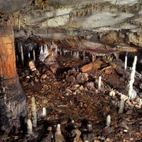 Caverna espanhola ficou bloqueada por 16.800 anos. Em seu interior, há uma moradia da Idade da Pedra com mais de 4.600 objetos 