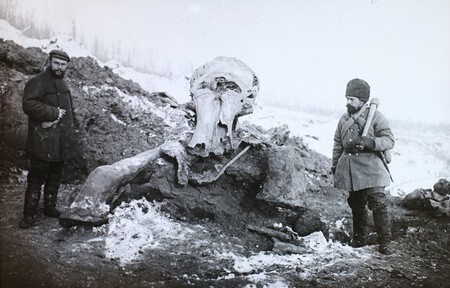 A Berezovka Folyo Volgye Mamutlelet Balra A Lelet Felfedezoje Eugene W Pfitzenmayer Regesz Fortepan 95087