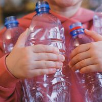 Reunieron más de 2.000 botellas de plástico para levantar un invernadero: acabaron creando un espacio para cultivar durante todo el año 