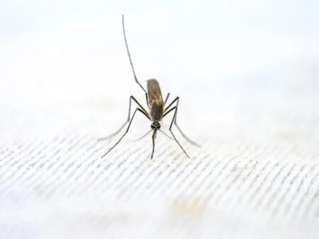 Malaria Bill Gates 4