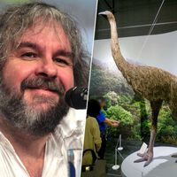 Na Nova Zelândia, vão tentar "ressuscitar" uma espécie de kiwi de três metros; e tudo graças a Peter Jackson 