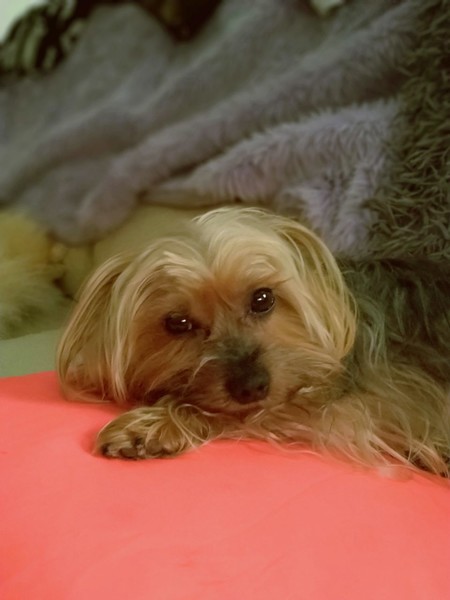 Photo5262616238469786031