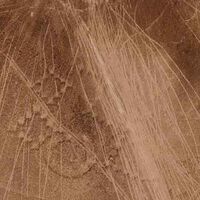 "Es una tragedia, el daño es irreversible". Los dibujos milenarios del desierto de Atacama están desapareciendo bajo las ruedas de los todoterrenos