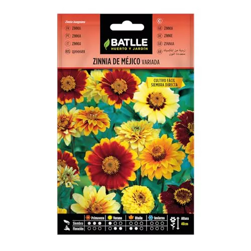 BATLLE Semillas de Zinnia de Méjico Variada 2,5 g – Flores Multicolor, Ideal Macizos y Flor Cortada