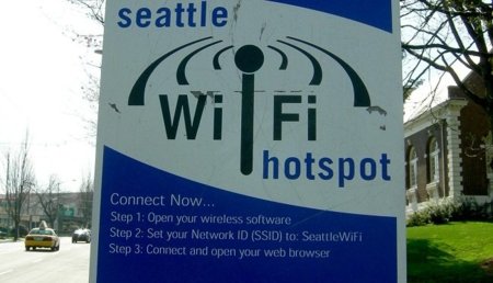 Wi-Fi, ese gran enemigo de los árboles