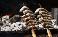 Las empresas turísticas siguen siendo un fuerte contrapeso 