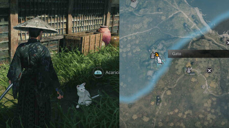 Gato Hiranuma Shinden 1