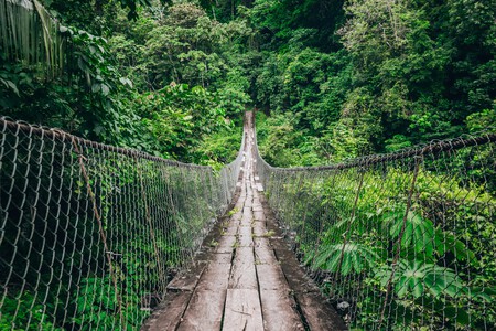 Puente